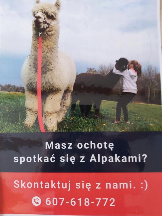 Apartamenty Smaczek Gołdap Exteriör bild